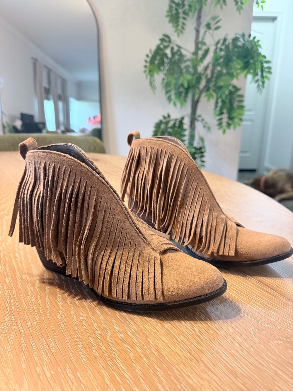 Coconuts by Matisse Women's Tan Fringe Suede Ankle Boots